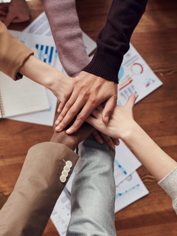 Your Divorce Dream Team