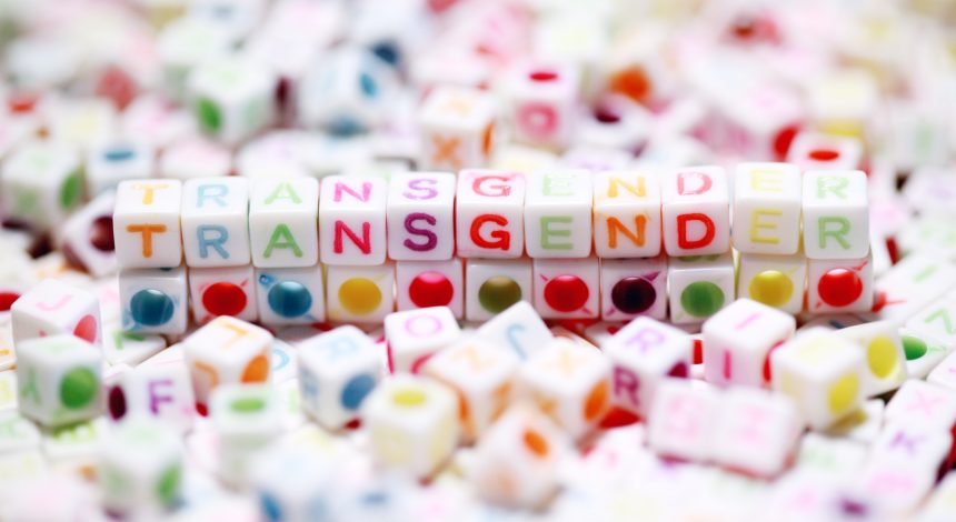 Transgender Ideology and Custody